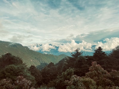 Mitchell County, North Carolina reports ransomware attack exposing Department of Social Services data