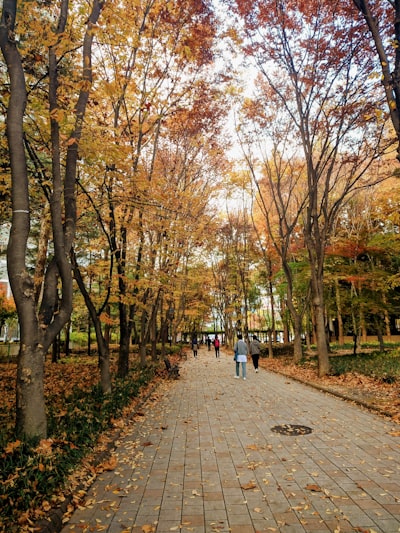 Inha University Hit by Ransomware Attack; 650GB of Data Allegedly Stolen