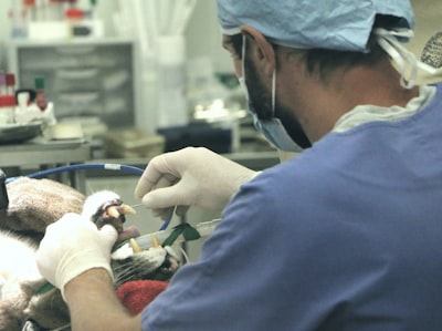 Intuitive Surgical Robotics Firm Reports Data Breach Following Targeted Phishing Attack