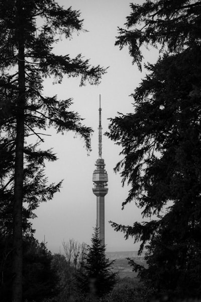 Telekom Srbija Suffers Data Breach and Extortion Attempt Targeting m:SAT TV Users