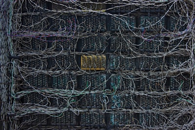 Statistics South Africa Hit by XP95 Ransomware Attack Targeting HR Database